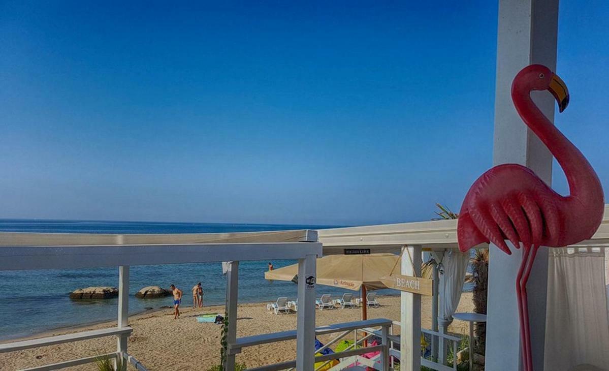 App Maria 1 Apartment Zambratija (Istria)