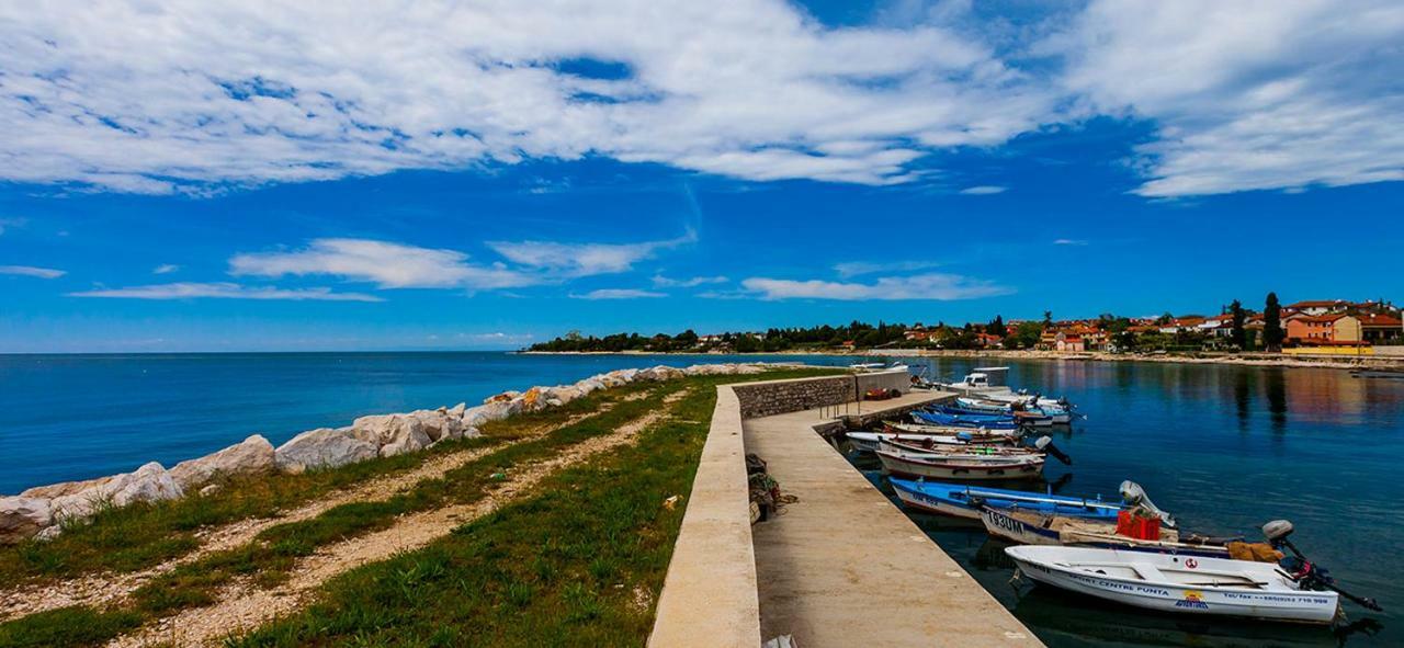 App Maria 1 Zambratija (Istria)